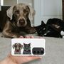 Personalised Pet Portrait iPhone And Samsung Case, thumbnail 4 of 10