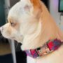 Lily's Check Harris Tweed Dog Collar, thumbnail 6 of 6