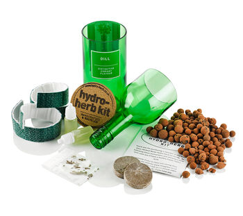 Dill Hydro Herb Kit, 2 of 3