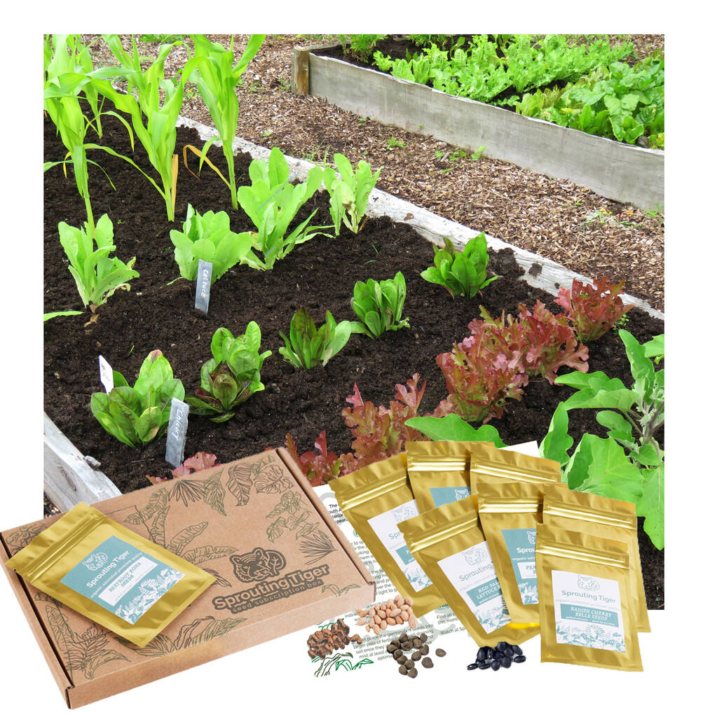 Ultimate Vegetable Patch Gift Set, 1 of 10