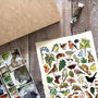 Hedgerow Wildlife Of Britain Watercolour Postcard, thumbnail 3 of 12