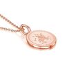 Personalised Rose Gold Plated Zodiac Icon Necklace, thumbnail 8 of 12