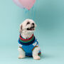 Cloudy Knitted Dog Jumper, thumbnail 3 of 5