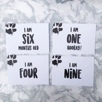 I Am Dog! Doggy Photo Prop Milestone Cards, 5 of 5