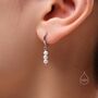 Genuine Freshwater Pearl Trio Huggie Hoop Earrings In Sterling Silver, thumbnail 2 of 11