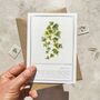 Christmas Botanical Six Cards And Envelopes, thumbnail 5 of 10