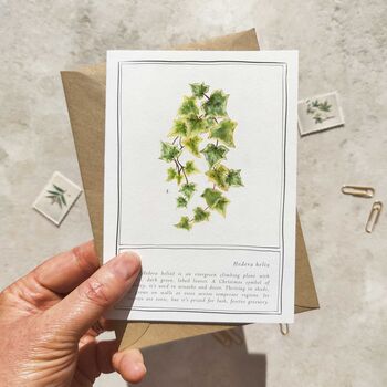 Christmas Botanical Six Cards And Envelopes, 5 of 10