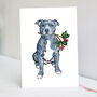 Blue Staffy Christmas Card, thumbnail 3 of 7