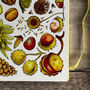 Nuts And Seeds Of Britain Art Greeting Card, thumbnail 7 of 7