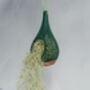 Teardrop Planter | Copper And Forest Green, thumbnail 5 of 6