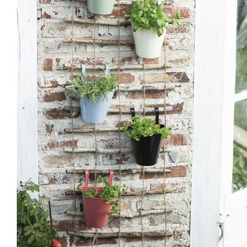 Colourful Hanging Balcony Pots, 2 of 3