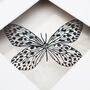 Framed Papercut Butterfly Art, thumbnail 5 of 7
