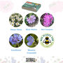 Seed Ball Making Activity Kit With Bee Friendly Wildflower Seeds, thumbnail 10 of 12