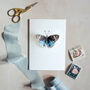 Blue Watercolour Butterfly Pop Out Card, thumbnail 1 of 3