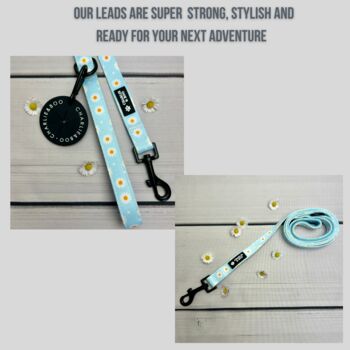 Daisy And Polka Dot Dog Lead, 2 of 3