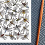 Dragonflies Of Britain Watercolour Postcard, thumbnail 3 of 7
