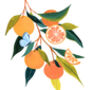 Summer Oranges Art Print, thumbnail 6 of 6