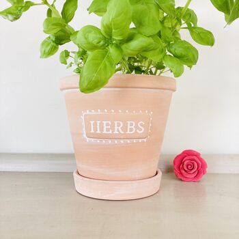 Herb Plant Pot, 2 of 6