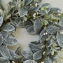 Mistletoe Frosted Door Wreath, thumbnail 3 of 3