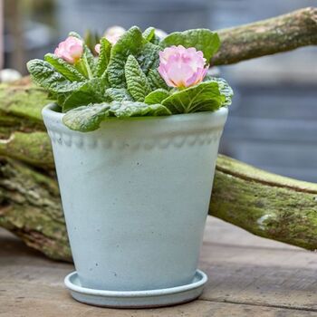 Lace Plant Pot And Saucer, 2 of 5