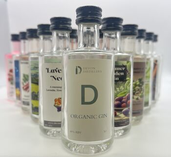 Devon Distillery Gin Advent Calendar, 4 of 9