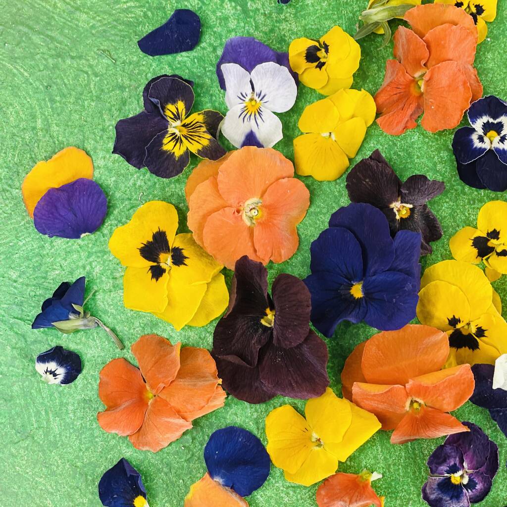 VIOLAS - Freeze Dried Edible Flowers