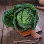 Vegetable Plants Cabbage 'Savoy' 12 X Plant Pack, thumbnail 1 of 8
