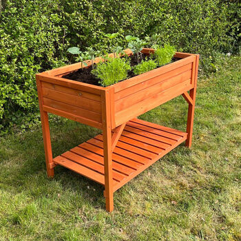 Wooden Raised Herb Planter With Two Liners, 3 of 9