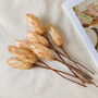 Dried Protea Natural Stem Gift Box, thumbnail 1 of 5