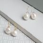 Triora White Freshwater Pearl Drop Earrings, thumbnail 1 of 8
