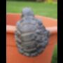 Indoor/Outdoor Detailed Tortoise Pot Hanger, thumbnail 3 of 3