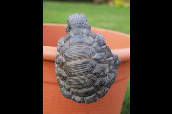 Indoor/Outdoor Detailed Tortoise Pot Hanger, 3 of 3