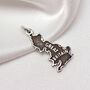 Personalised Sterling Silver Any Country Map Charm, thumbnail 3 of 12