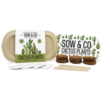 Sow And Co Grow Kits Chilli, Bonsai, Herbs Or Cactus, 7 of 12