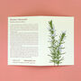 Ysbwynwydd Welsh Herbs Rosemary Card With Seeds, thumbnail 2 of 6