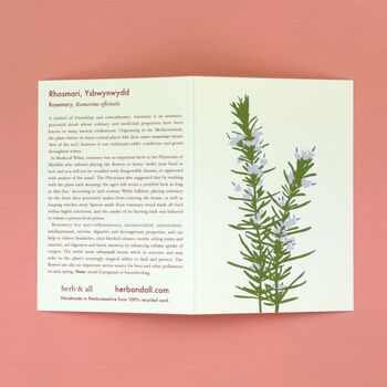 Ysbwynwydd Welsh Herbs Rosemary Card With Seeds, 2 of 6