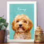 Colourful Pet Portrait Personalised, thumbnail 1 of 3