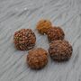 Seven Faced Nepali Rudraksha Beads Jewelry, thumbnail 2 of 6