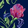 Iris My Case, thumbnail 3 of 8