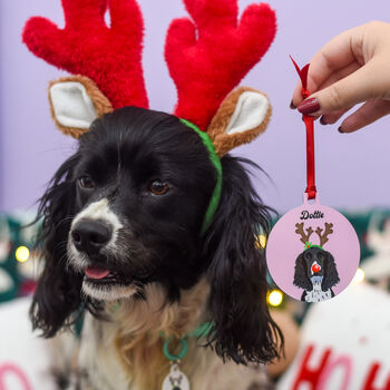 Personalised Cute Reindeer Dog Christmas Decoration, 10 of 12