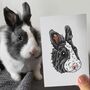 Personalised Rabbit Lover Portrait Face Print, thumbnail 1 of 11