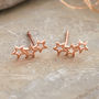 Sterling Silver Twinkle Star Earrings Studs, thumbnail 5 of 5