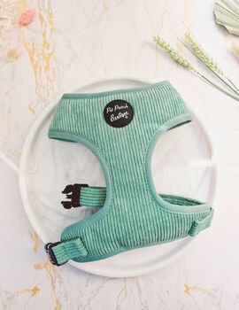 Sage Green Cord Dog Harness, 7 of 8