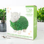Grow Your Own Highland Cow Chia Planter, thumbnail 2 of 5