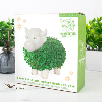 Grow Your Own Highland Cow Chia Planter, 2 of 5