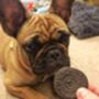 Dog Chicken Chocolate Biscuit, thumbnail 5 of 5