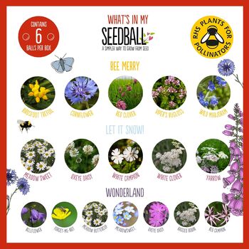 Three Pack Happy Christmas Seed Ball Boxes, 7 of 8