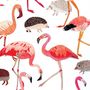 Flamingos And Hedgehog Alice In Wonderland Print, thumbnail 3 of 4