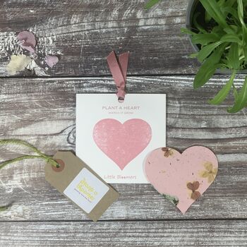 Plant A Heart Seed Paper Card Set In Red, Gold And Pink, 8 of 12