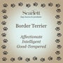 Border Terrier Silver Charm, thumbnail 7 of 8